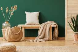Step-by-Step Guide to Feng Shui Basics for a Balanced Home Environment