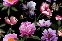 Understanding Symbolism in Renowned Still Life Paintings